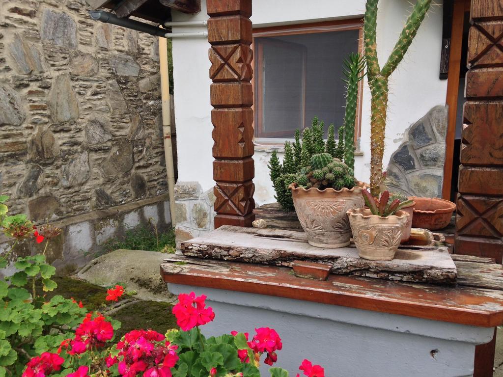 Petra Apartmanok Velem Dış mekan fotoğraf